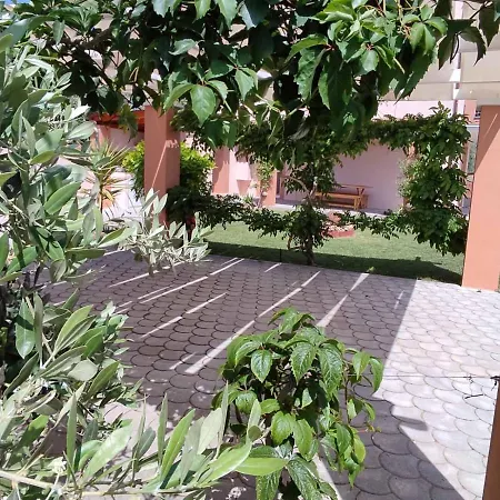 Apartment Olive Grove House