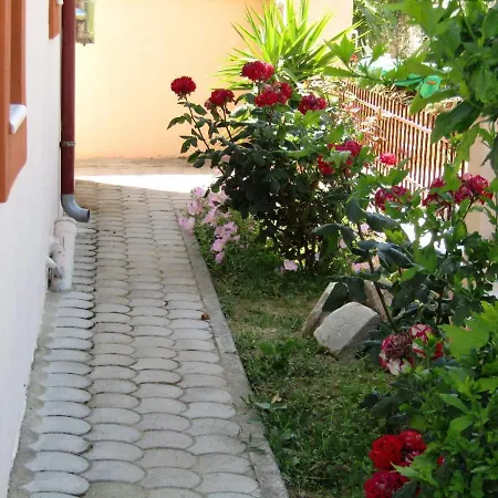 Apartment Olive Grove House *