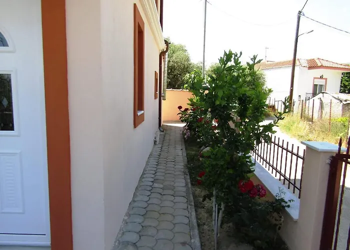 Olive Grove House
