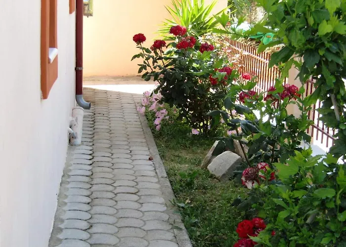 Appartement Olive Grove House *