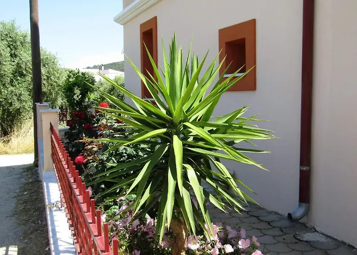 Appartement Olive Grove House *