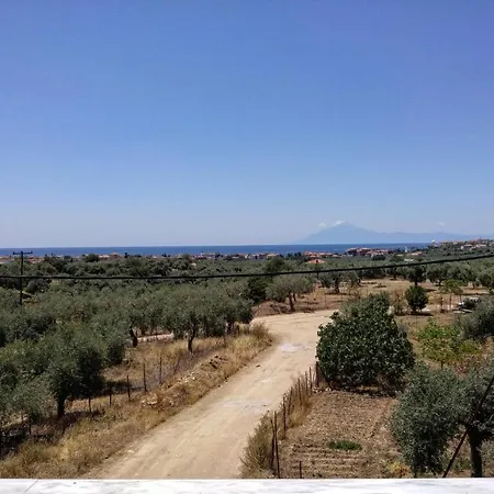 Olive Grove House リメナリア