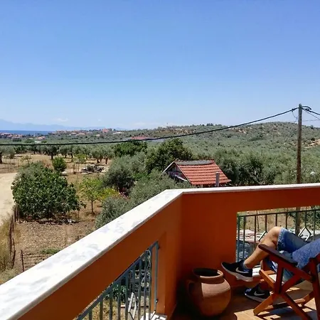 Olive Grove House *
