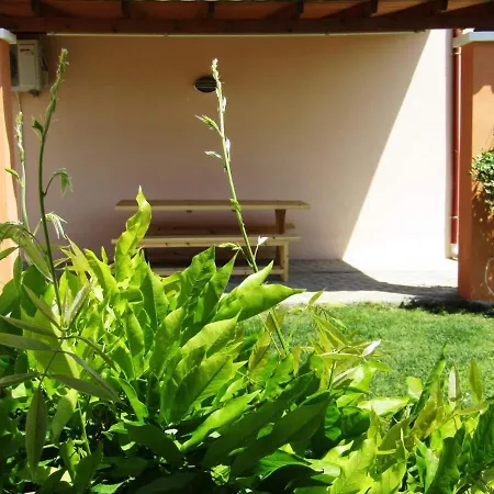 Olive Grove House * リメナリア