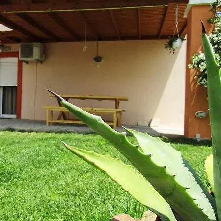 Olive Grove House Apartamento Limenaria (Thasos)